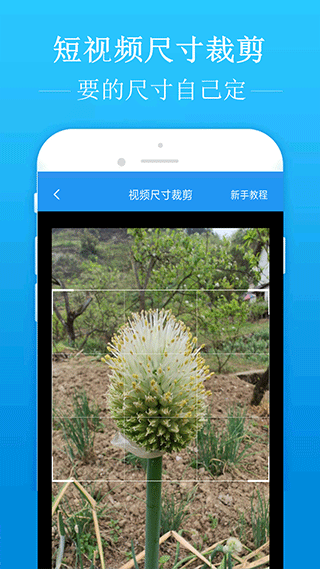 PCS（Pcs.是什么意思）